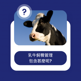 乳牛飼養管理包含甚麼呢.png